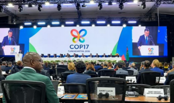Туркменская делегация участвовала в COP-17 в Армении