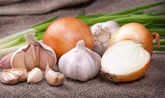 Аграрии Туркменистана формируют основу для получения ранних овощей