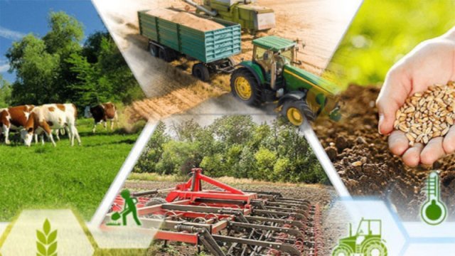 na-torgah-gtsbt-obshaya-summa-sdelok-sostavila-svyshe-7-millionov-763-tysyac-dollarov-ssha