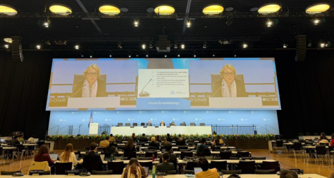 Туркменистан представил позицию по климату на сессии UNFCCC в Бонне