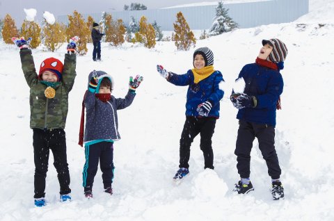 Укрепляем иммунитет в конце зимы