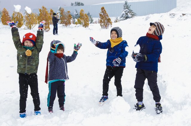 na-torgah-gtsbt-obshaya-summa-sdelok-sostavila-svyshe-7-millionov-763-tysyac-dollarov-ssha