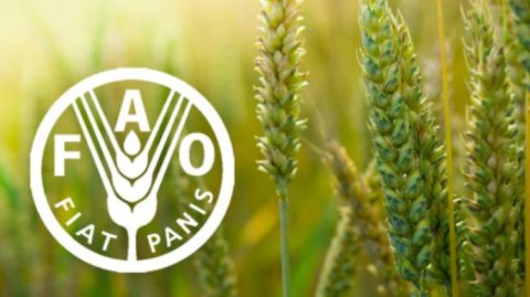 FAO провела в Ашхабаде обучающий семинар по кормам для аквакультуры