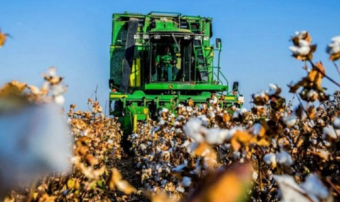 В Туркменистане продолжаются работы по сбору хлопка и севу озимой пшеницы