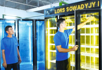 Холодильники под брендом «LORS» насыщают рынок Туркменистана 