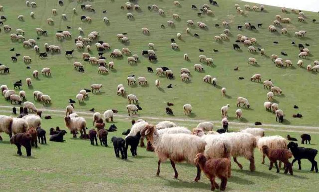 na-torgah-gtsbt-obshaya-summa-sdelok-sostavila-svyshe-7-millionov-763-tysyac-dollarov-ssha