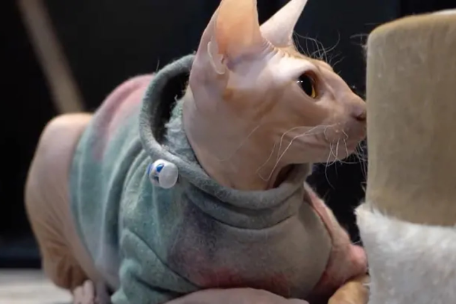 na-torgah-gtsbt-obshaya-summa-sdelok-sostavila-svyshe-7-millionov-763-tysyac-dollarov-ssha