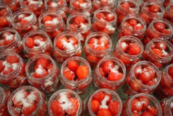 Мургабское объединение наращивает выпуск качественной продукции 