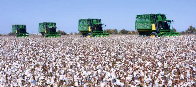 na-torgah-gtsbt-obshaya-summa-sdelok-sostavila-svyshe-7-millionov-763-tysyac-dollarov-ssha