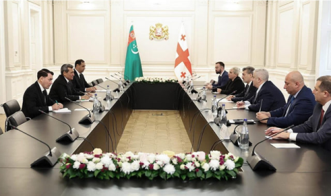 Глава МИД Туркменистана встретился с Президентом Грузии