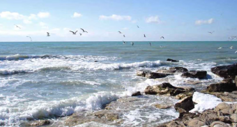 Туркменистан выступил с инициативой провести экологический саммит по Каспию