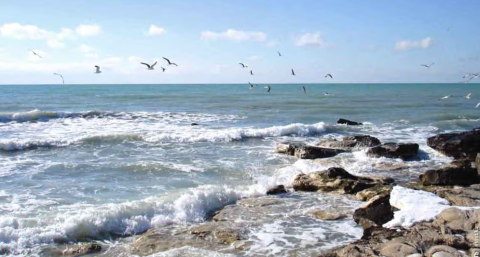 Туркменистан выступил с инициативой провести экологический саммит по Каспию