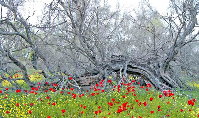 na-torgah-gtsbt-obshaya-summa-sdelok-sostavila-svyshe-7-millionov-763-tysyac-dollarov-ssha