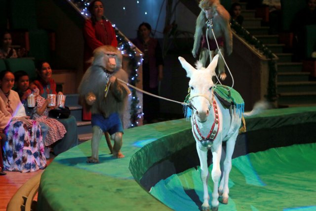 na-torgah-gtsbt-obshaya-summa-sdelok-sostavila-svyshe-7-millionov-763-tysyac-dollarov-ssha