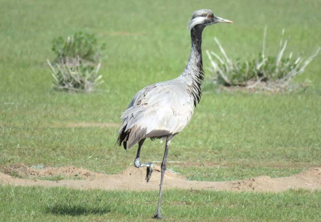 na-torgah-gtsbt-obshaya-summa-sdelok-sostavila-svyshe-7-millionov-763-tysyac-dollarov-ssha