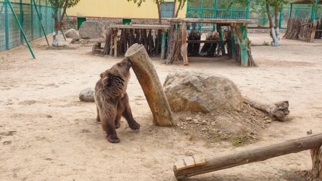 na-torgah-gtsbt-obshaya-summa-sdelok-sostavila-svyshe-7-millionov-763-tysyac-dollarov-ssha