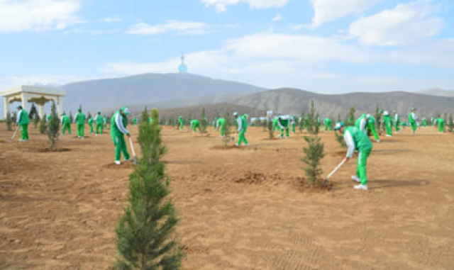 na-torgah-gtsbt-obshaya-summa-sdelok-sostavila-svyshe-7-millionov-763-tysyac-dollarov-ssha