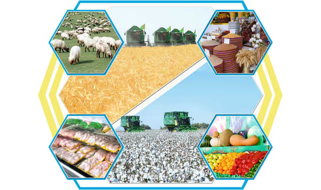 na-torgah-gtsbt-obshaya-summa-sdelok-sostavila-svyshe-7-millionov-763-tysyac-dollarov-ssha