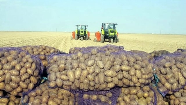na-torgah-gtsbt-obshaya-summa-sdelok-sostavila-svyshe-7-millionov-763-tysyac-dollarov-ssha