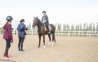 В Ашхабадском конноспортивном комплексе готовят будущих мастеров конкура  