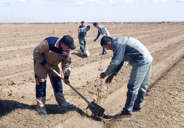 na-torgah-gtsbt-obshaya-summa-sdelok-sostavila-svyshe-7-millionov-763-tysyac-dollarov-ssha