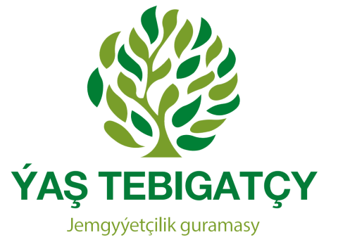 ОО Ýaş tebigatçy планирует установить в Ашхабаде фандоматы