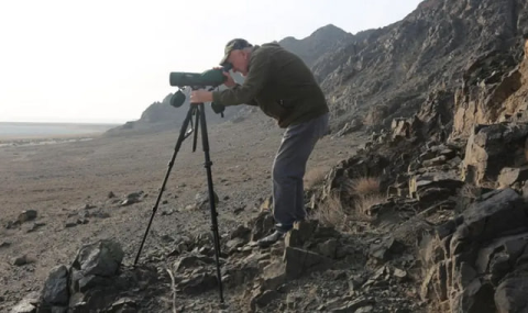 Специалисты ведут зимний учёт птиц на туркменском побережье Каспия