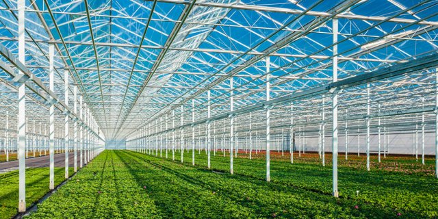 na-torgah-gtsbt-obshaya-summa-sdelok-sostavila-svyshe-7-millionov-763-tysyac-dollarov-ssha