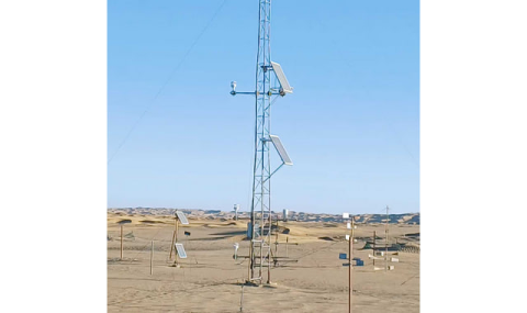 Туркменистан и Китай объединяют подходы к противодействию опустыниванию