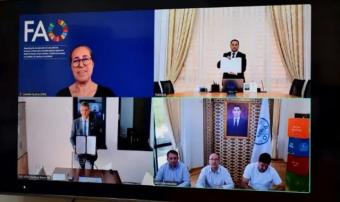 ФАО поддержит развитие племенного животноводства в Туркменистане
