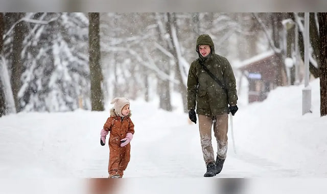 na-torgah-gtsbt-obshaya-summa-sdelok-sostavila-svyshe-7-millionov-763-tysyac-dollarov-ssha