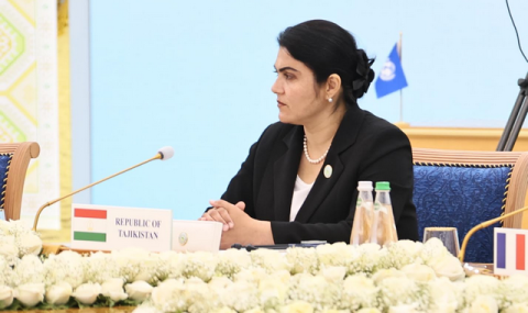 Туркменистан и Таджикистан объединяют усилия в борьбе с климатическими рисками
