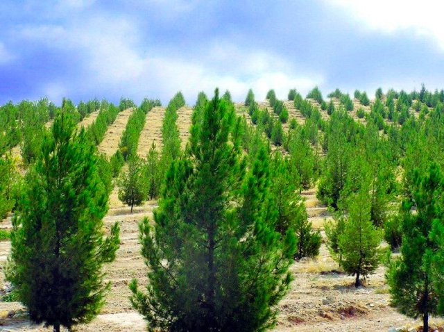 na-torgah-gtsbt-obshaya-summa-sdelok-sostavila-svyshe-7-millionov-763-tysyac-dollarov-ssha