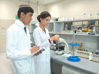 В Туркменистане разработали новый способ получения красок из серы