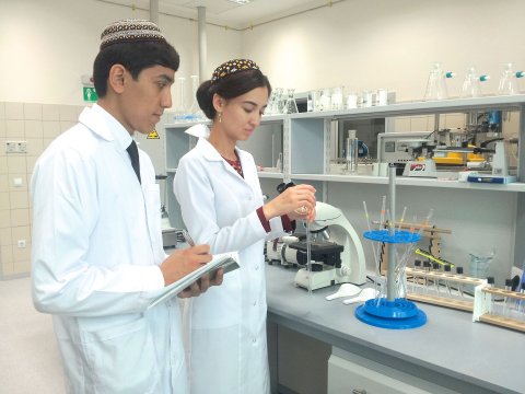 В Туркменистане разработали новый способ получения красок из серы