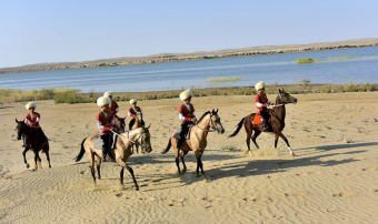 Ахалтекинцы выходят на мировую арену в честь 35-летия независимости Туркменистана