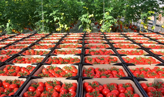 na-torgah-gtsbt-obshaya-summa-sdelok-sostavila-svyshe-7-millionov-763-tysyac-dollarov-ssha