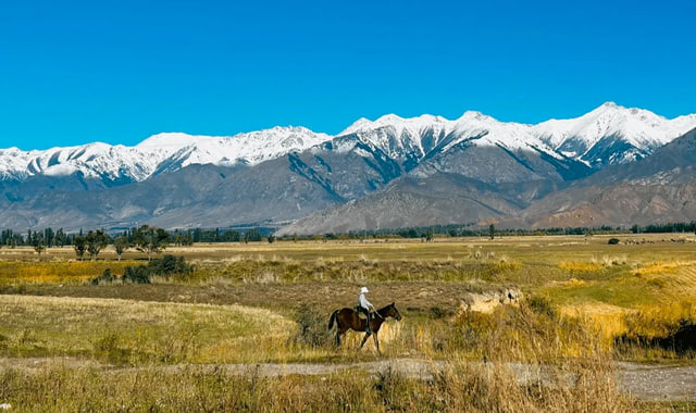 na-torgah-gtsbt-obshaya-summa-sdelok-sostavila-svyshe-7-millionov-763-tysyac-dollarov-ssha