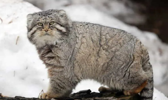 na-torgah-gtsbt-obshaya-summa-sdelok-sostavila-svyshe-7-millionov-763-tysyac-dollarov-ssha