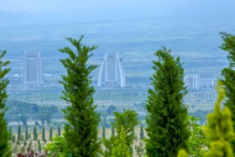 Туркменистан запускает масштабную акцию по посадке можжевельника