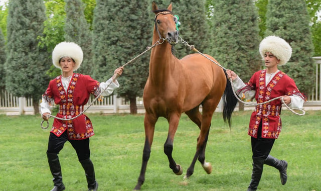 na-torgah-gtsbt-obshaya-summa-sdelok-sostavila-svyshe-7-millionov-763-tysyac-dollarov-ssha