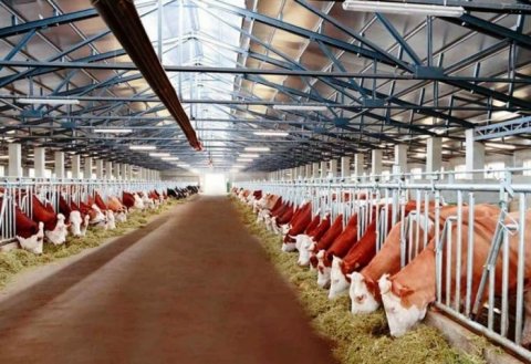 В Туркменистане активно развивается сельское хозяйство