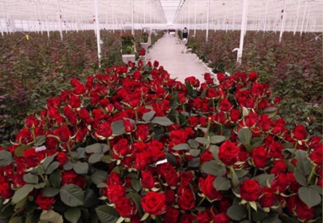 na-torgah-gtsbt-obshaya-summa-sdelok-sostavila-svyshe-7-millionov-763-tysyac-dollarov-ssha