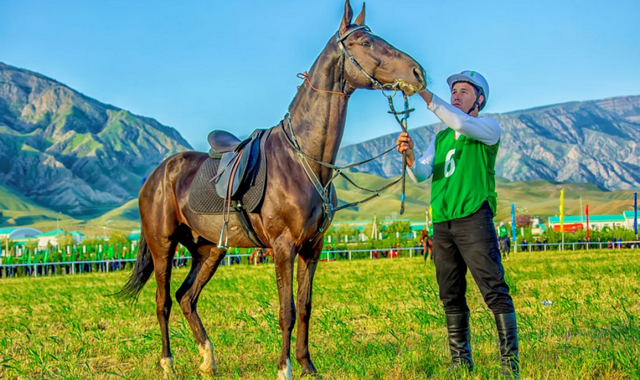 na-torgah-gtsbt-obshaya-summa-sdelok-sostavila-svyshe-7-millionov-763-tysyac-dollarov-ssha