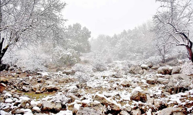 na-torgah-gtsbt-obshaya-summa-sdelok-sostavila-svyshe-7-millionov-763-tysyac-dollarov-ssha