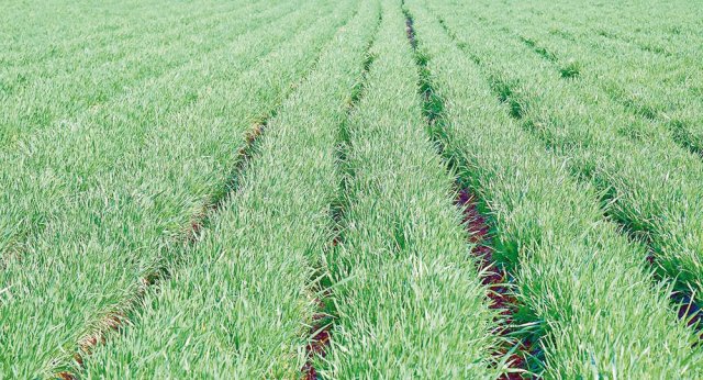 na-torgah-gtsbt-obshaya-summa-sdelok-sostavila-svyshe-7-millionov-763-tysyac-dollarov-ssha