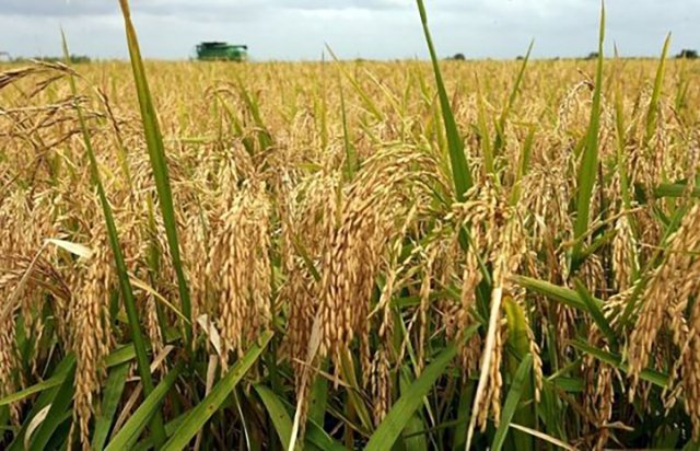 na-torgah-gtsbt-obshaya-summa-sdelok-sostavila-svyshe-7-millionov-763-tysyac-dollarov-ssha