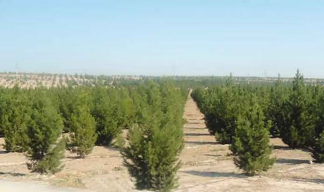 na-torgah-gtsbt-obshaya-summa-sdelok-sostavila-svyshe-7-millionov-763-tysyac-dollarov-ssha