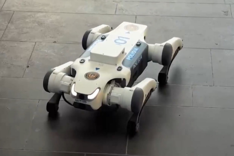 Робопсы начали охранять порядок в торговых центрах и на вокзалах Астаны