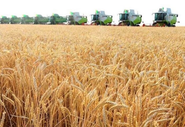 na-torgah-gtsbt-obshaya-summa-sdelok-sostavila-svyshe-7-millionov-763-tysyac-dollarov-ssha